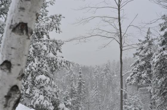 Adirondack Inspired: Winter